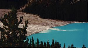 300px-RockFlourPeytoLake.jpg