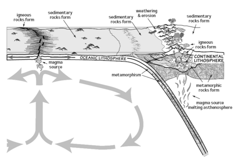 Biogeochemical cycle