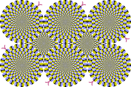 Rotating snakes peripheral drift illusion.svg 23:40, 7 February 2013