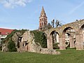 Ruines de l'abbaye de Munster.