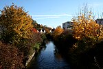 Saalbach (Rhine)