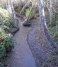 Salmon Creek (Sonoma County, California)