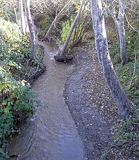 <span class="mw-page-title-main">Salmon Creek (Sonoma County, California)</span> River in California, United States