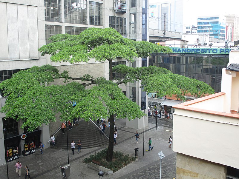 File:Sanandresito Medellín.jpg