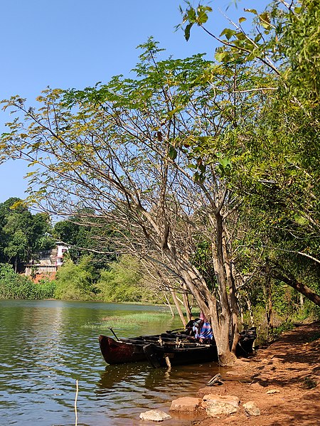 File:Sasthamkotta Lake 7.jpg