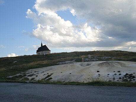 Sivá Brada