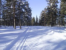 Fotografia de uma pista de esqui cross-country bem cuidada e coberta de neve