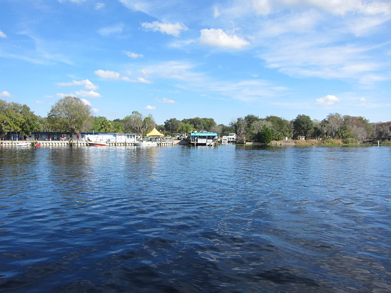 File:St. Johns River at Astor, Florida 001.jpg