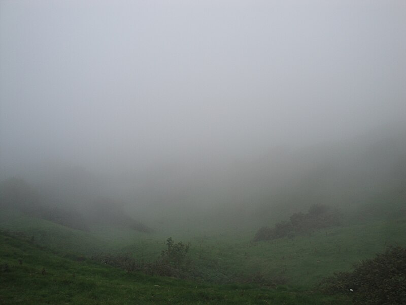 File:St Catherine's Down mist 2.JPG