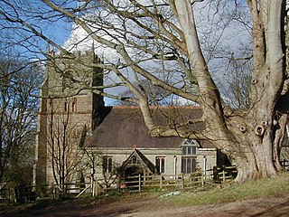 <span class="mw-page-title-main">Beoley</span> Village in Bromsgrove District of Worcestershire