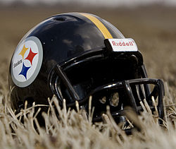 The Steelers logo incorporates the hypocycloid logo of the US Steel industry. Steelers helmet on grass field.jpg