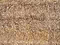 Category:Hay textures - Wikimedia Commons