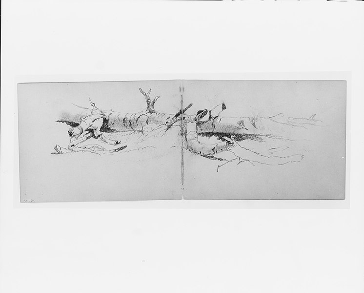 File:Study of a Fallen Tree (from sketchbook) MET 267135.jpg