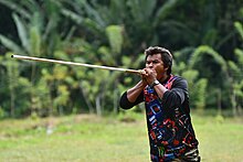 Temiar tribe men playing "Sumpit" with their own homemade designed bamboo.jpg