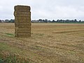 Temporary monument to farming, Newborough, Peterborough - geograph.org.uk - 51862.jpg