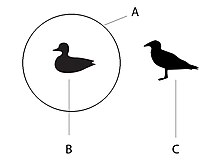 Diagramă