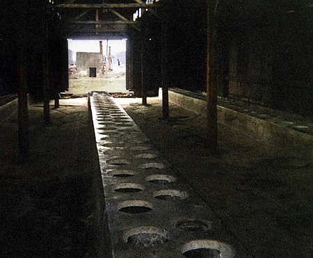 Tập_tin:Toaletter_på_auschwitz_2.jpg