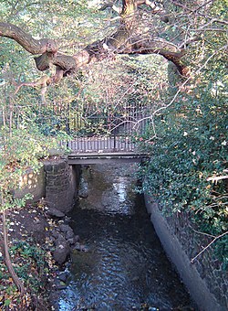 The River Moselle visible above ground on its way through Tottenham Cemetery. This now-modest stream once posed a significant flooding threat to the area. (November 2005)