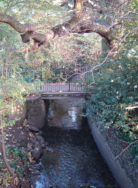 The Moselle on the surface flows through Tottenham Cemetery on its way to the Lea.