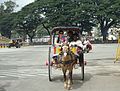 Tourists in horse cart.JPG