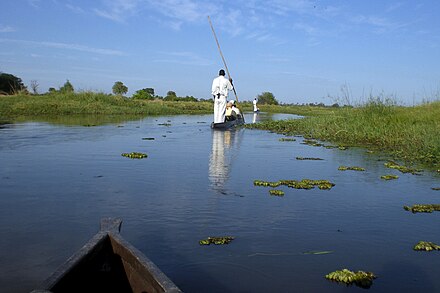 Mokoros are a common mode of travel in the Okavango Delta