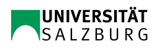Logo als SVG