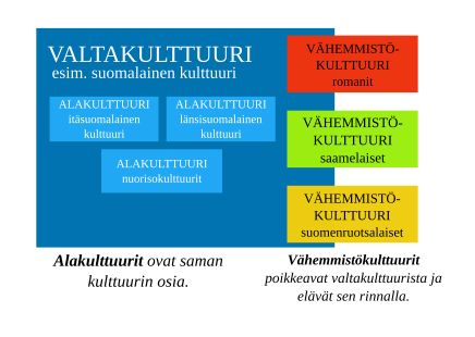 Alakulttuuri tarkoittaa jonkin kulttuurin osaa. Vähemmistökulttuurit ovat kokonaan omia kulttuurejaan, jotka elävät jollain alueella enemmistökulttuurin rinnalla.