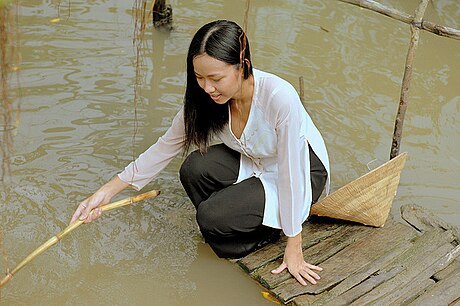 Vietnamese clothing