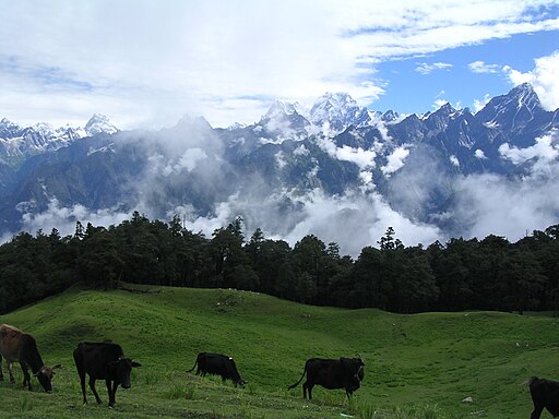 View of Himalayas from Auli - Hill Stations Near Delhi