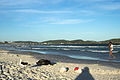 * Nomination Sunset in do Forte beach, Cabo Frio, Brazil --Ezarate 23:01, 17 February 2016 (UTC) * Decline Photographers shadow very disturbing. Also WB not correct (sand colour not convincing). --Cccefalon 05:39, 19 February 2016 (UTC)