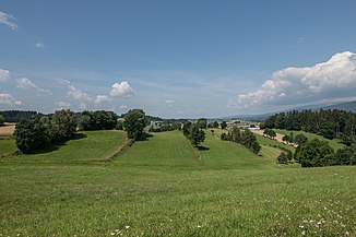 Teichbach gesehen von Kandlschlag, im Vordergrund Streifenfluren