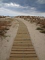 Walking path to the Mediterranean Sea in Oliva, Valencia Region of the Spain 01.JPG