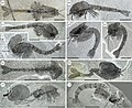 2022年7月14日 (木) 21:01時点における版のサムネイル