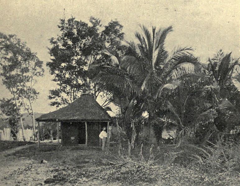 File:Wayside Scene, New Caledonia, c. 1906.jpg