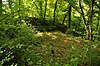 Leebern, Part of the late-Roman era Rhine Fortifications