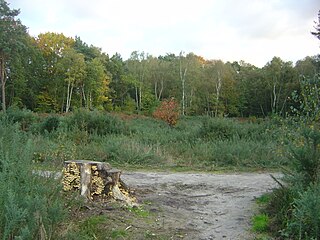 <span class="mw-page-title-main">Weybridge Heath</span>