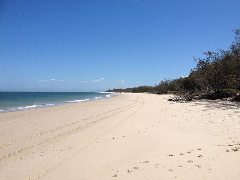 File:Woorim Beach, Bribie Island, Queensland.JPG