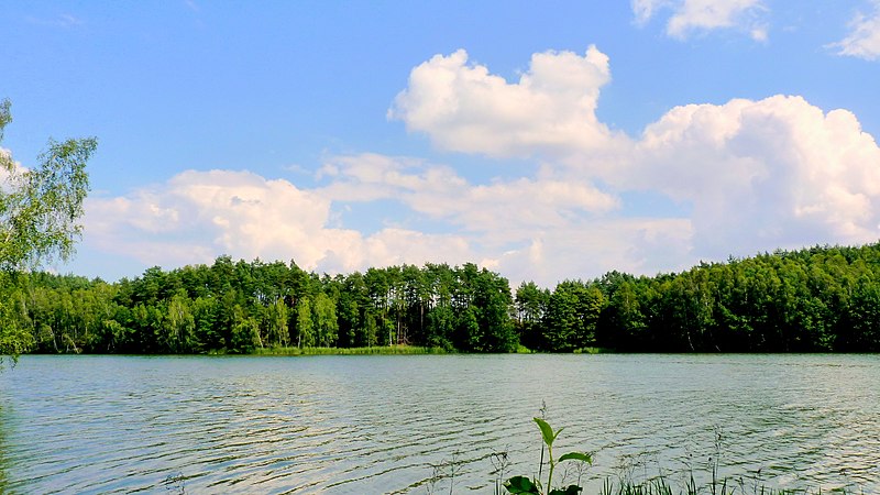 File:Zalew Jezioro Lipkusz - panoramio.jpg