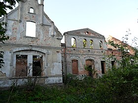 Zimna Brzenica