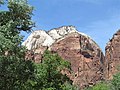 Zion Milli Parkı - Utah - Castle Dome.jpg