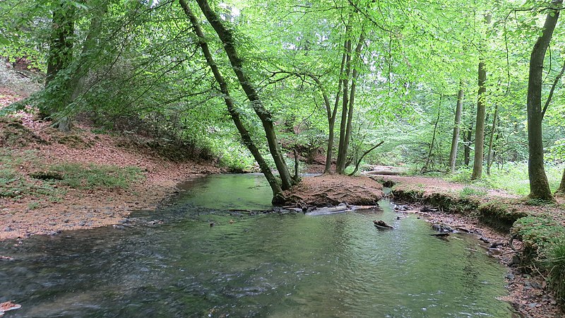 File:Zuflucht am Schwarzbach, LSG Schwarzbach, Ratingen, NRW.jpg