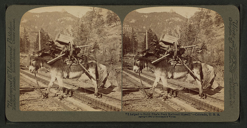 File:"I helped to build Pike's Peak railroad myself," Colorado, U.S.A, from Robert N. Dennis collection of stereoscopic views 6.jpg