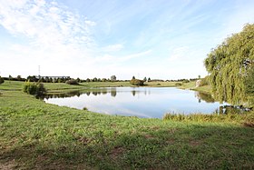 Illustrasjonsbilde av artikkelen Étang du Val Favry