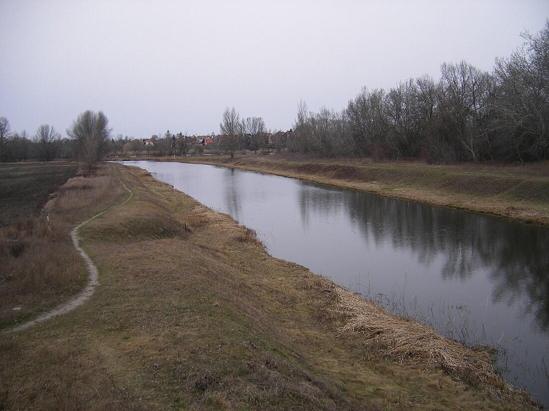 Žitava (river)