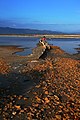 Μικρογραφία για την έκδοση της 18:43, 22 Μαΐου 2017