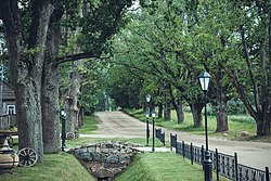 Novorjevskiy tumani Altun shahridagi park