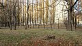 Міський Сад (Кременчук) - 33 - Тенісний корт.JPG