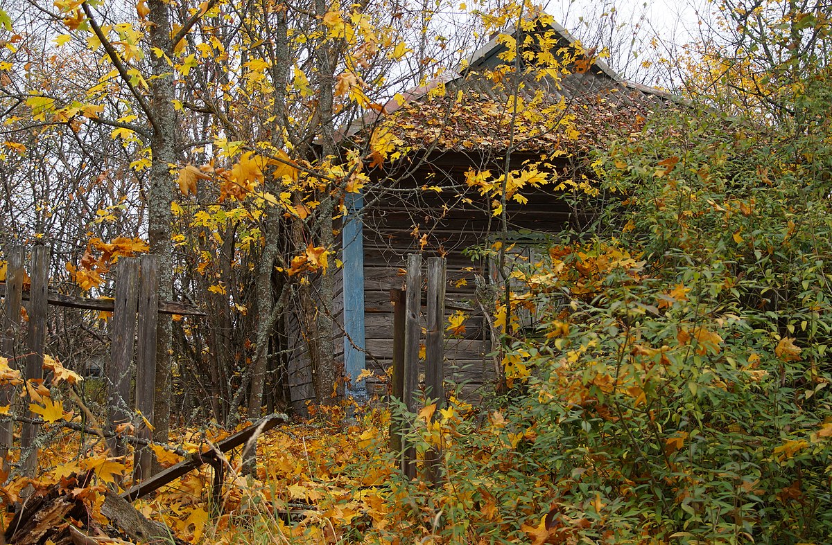 Осень появился. Осень в Чернобыле. Деревня бабье Чернобыль. Село бабье Чернобыльская зона. Село бабье в Чернобыле.