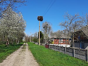 Сільська вулиця в Михайлівці