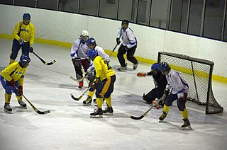 <span class="mw-page-title-main">Rink bandy</span> Ballgame-team sport played on ice